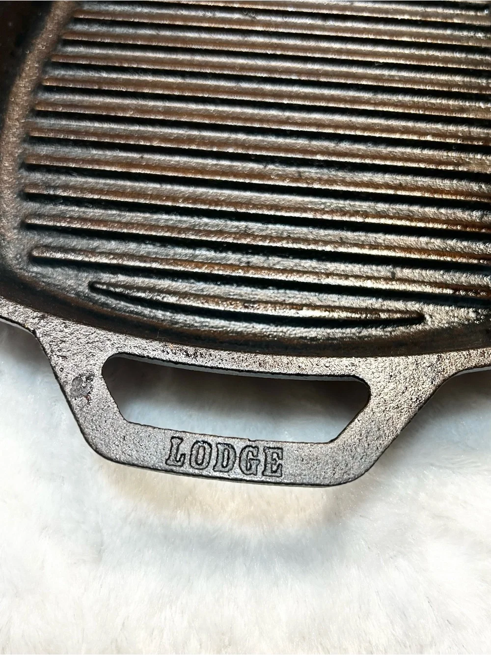Lodge Cast Iron 10